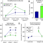 ketogenic-diet-autism